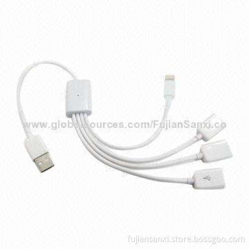 Adds 3 USB2.0 High-speed Ports + iPhone 5/5S Lighting Cable, Supports Data Transferring and Charging